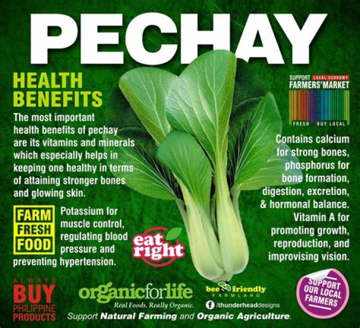pechay scientific name
