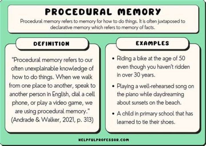 procedural memory example