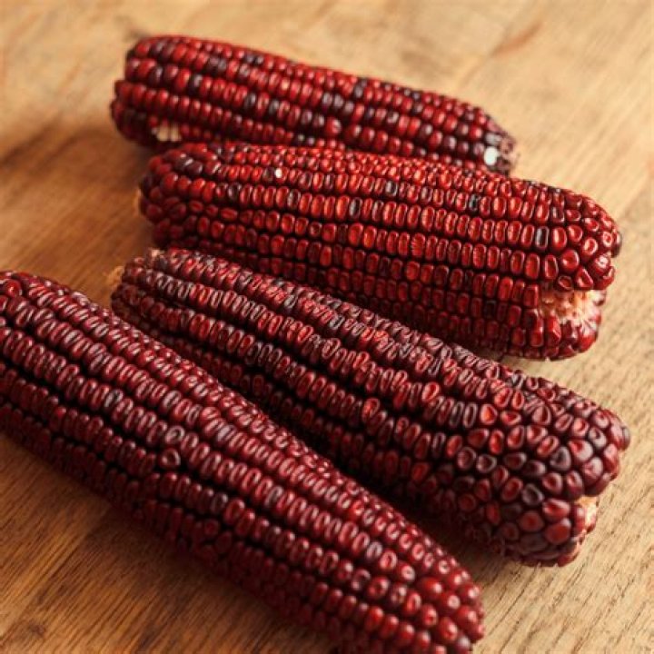 red corn