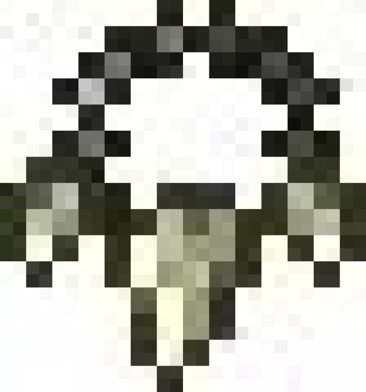 shark tooth necklace terraria