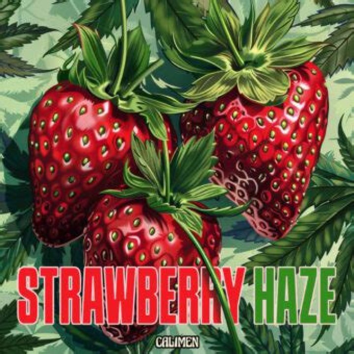 strawberry haze