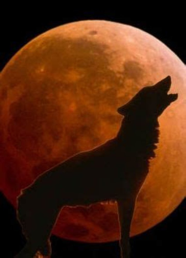super blood wolf moon time