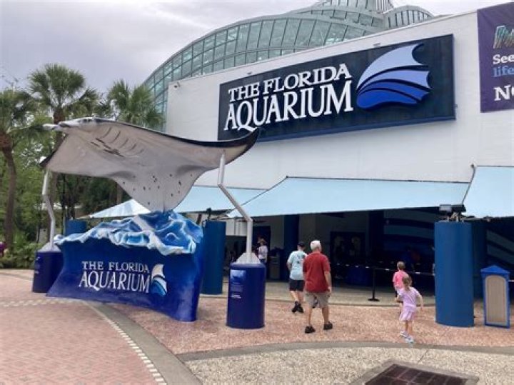 tampa aquarium tickets