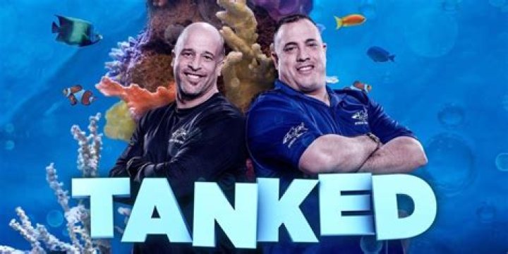tanked tv show