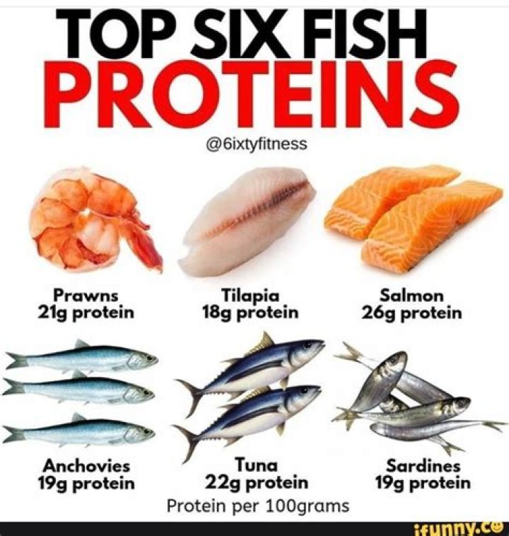 tilapia protein