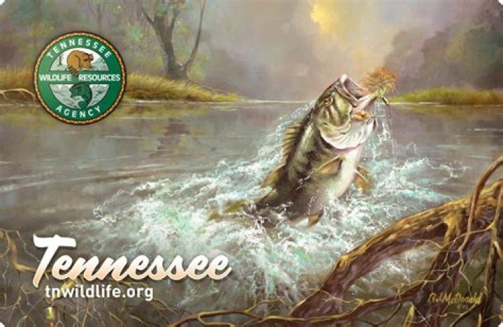 twra fishing license