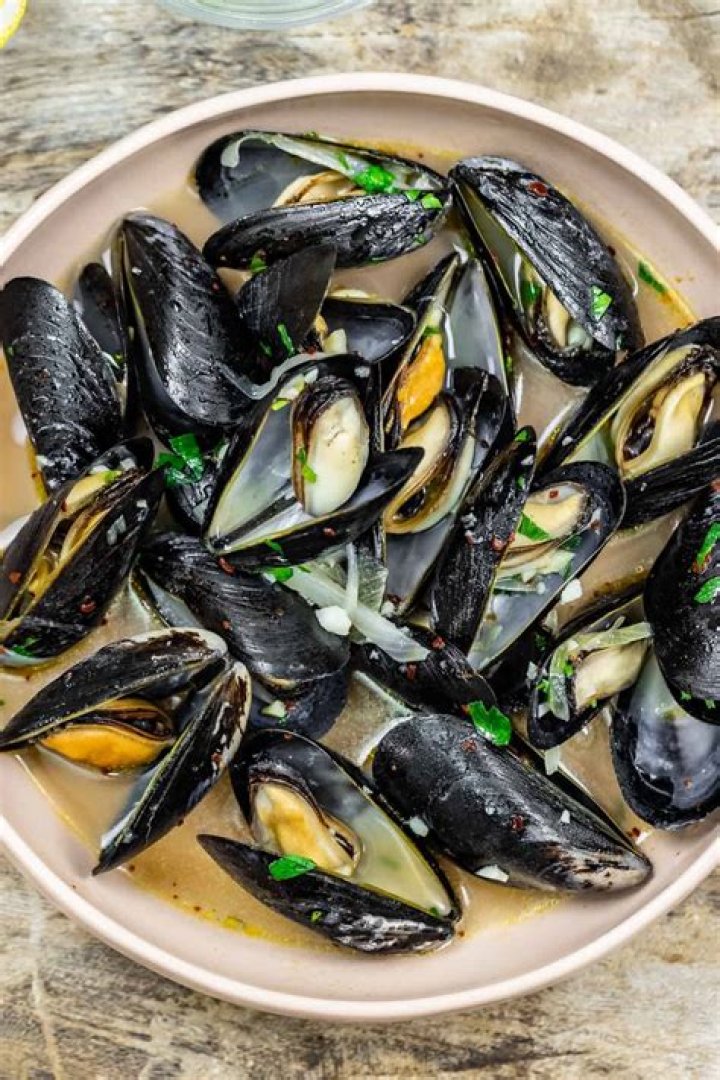 what are mussels