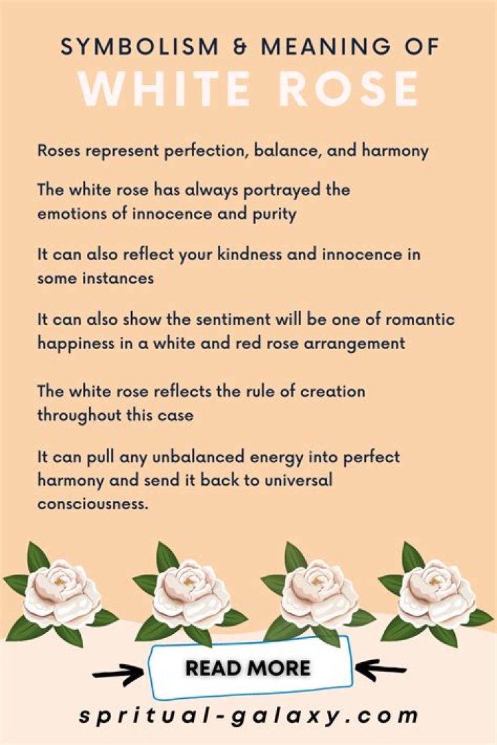 what does a white rose mean