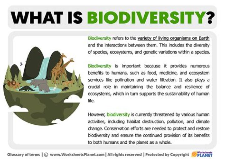 what does biodiversity mean