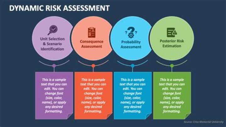 what is a dynamic risk assessment