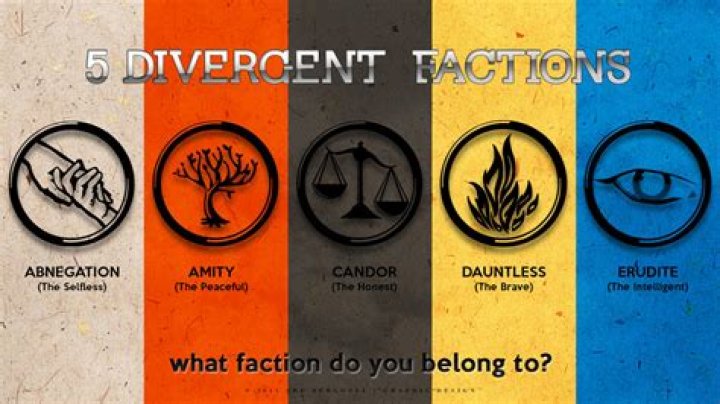 what is a faction in divergent