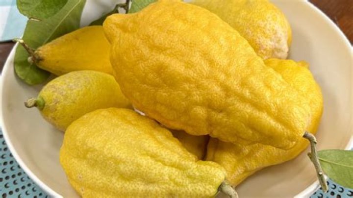 what is citron