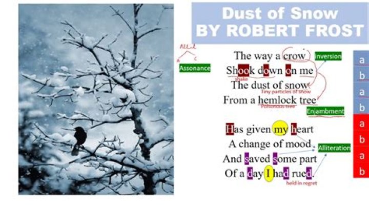 what is dust of snow