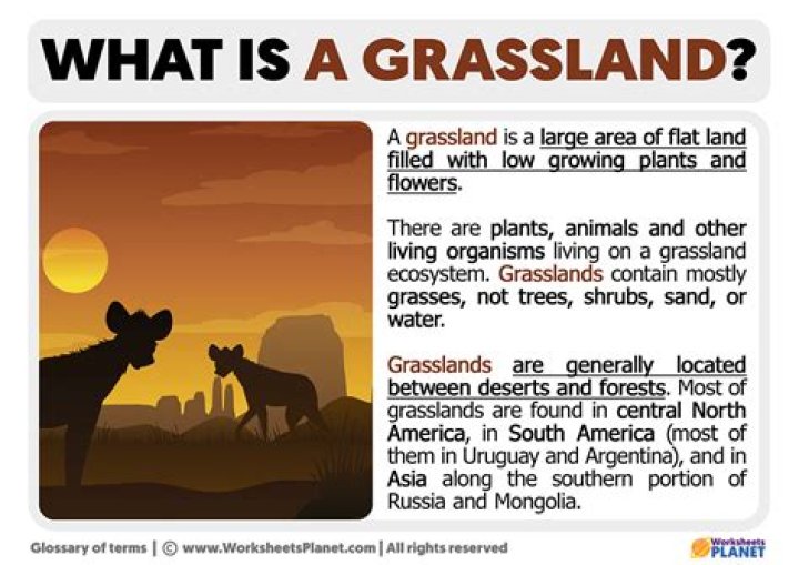 what is grassland