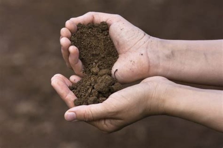what is loam soil