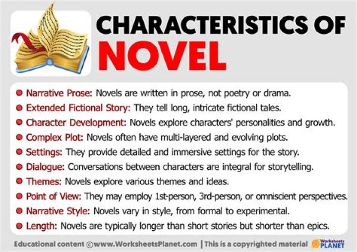 what is novel