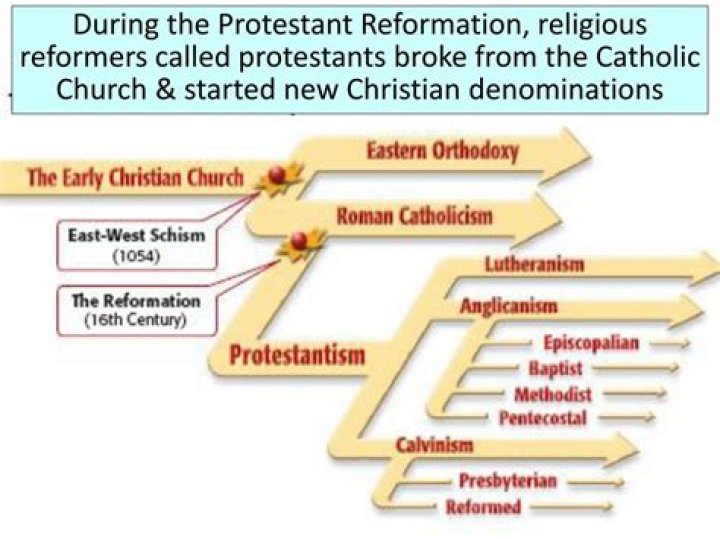 what is protestant