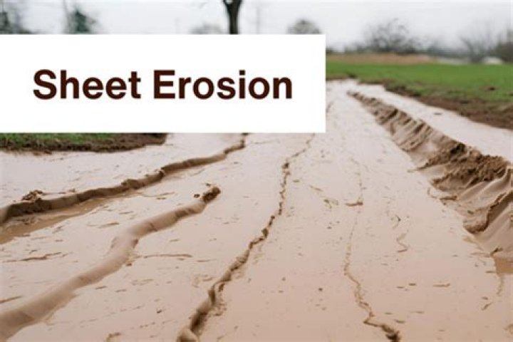 what is sheet erosion