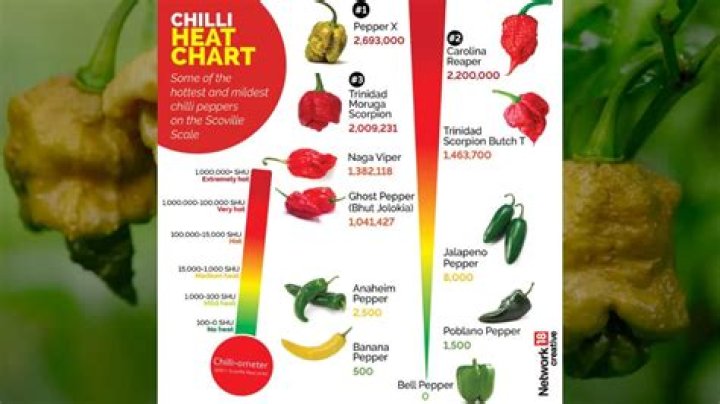 what is the hottest chilli in the world
