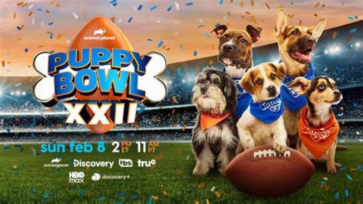 when is the puppy bowl 2019