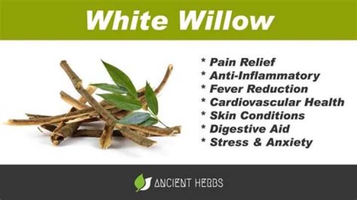 white willow bark benefits